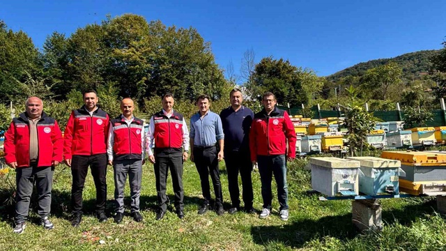 40 kovanla başlayan yolculuk profesyonel arıcılığa dönüştü