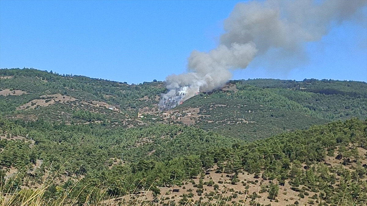Bursa Büyükorhan\'da orman yangınına havadan ve karadan müdahale sürüyor