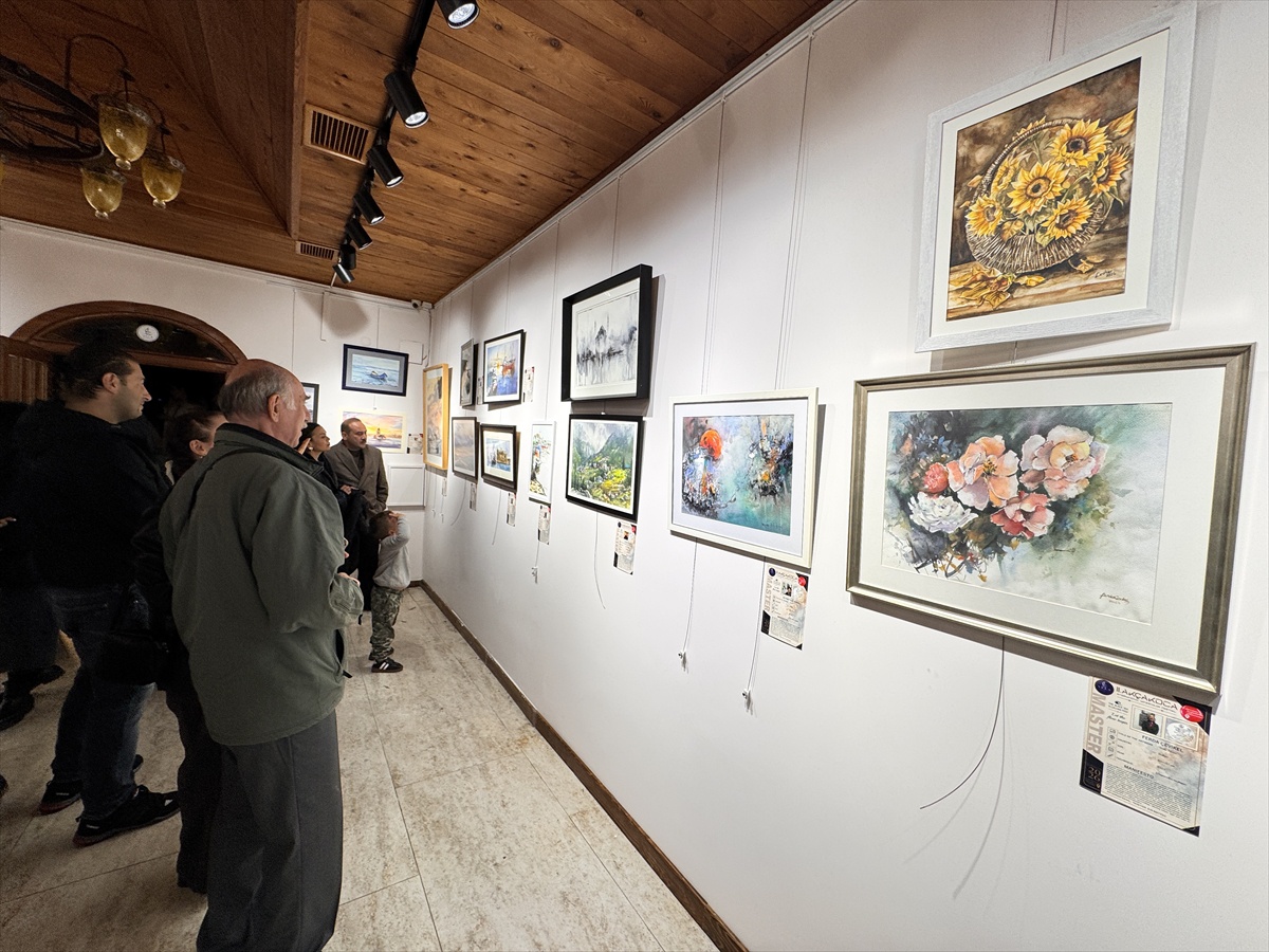Düzce Akçakoca\'da Suluboya Festivali\'ne 81 ressam katıldı, 57 sanatçı eser sergiledi