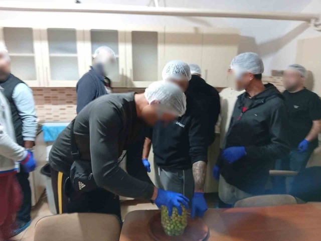 Topluma böyle kazandırılıyorlar! Hükümlülere sofralık zeytin yapımı öğretildi