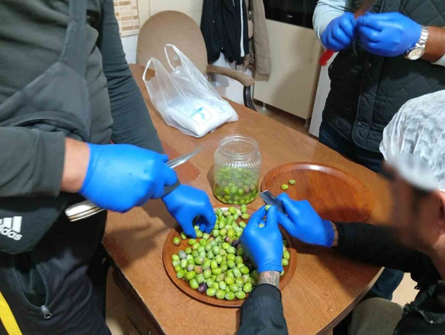 Topluma böyle kazandırılıyorlar! Hükümlülere sofralık zeytin yapımı öğretildi