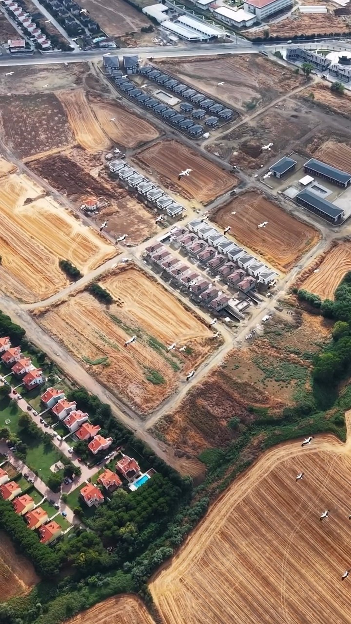 Leylek sürüsü Tekirdağ semalarında dronla görüntülenerek göç yolculuğunu sürdürdü.