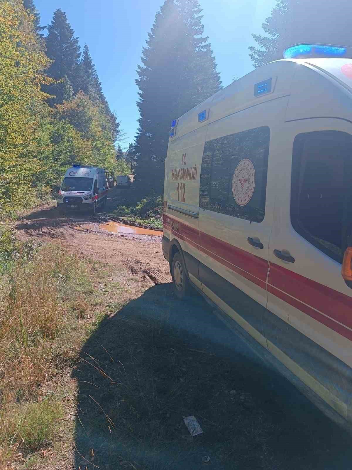 Sakarya Pamukova\'da devrilen traktörün altında kalan dede öldü, torunu yaralandı
