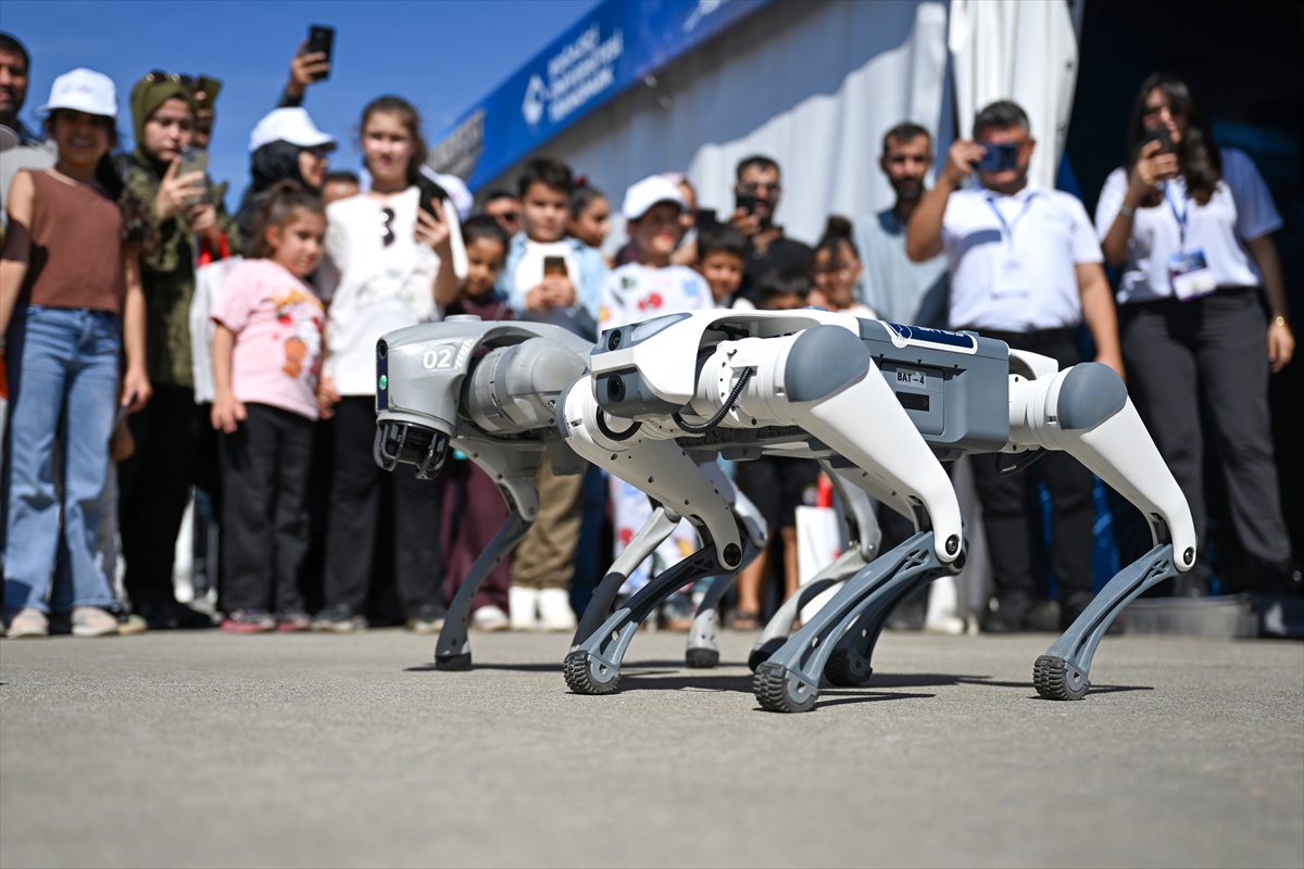 TEKNOFEST Güneydoğu\'nun son gününde Şanlıurfa\'da 4 robot dans edip oyun oynadı