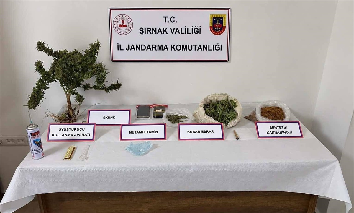 Şırnak\'ta jandarma 3 tırda 19 tabanca ve uyuşturucu buldu, 4 şüpheli gözaltına alındı