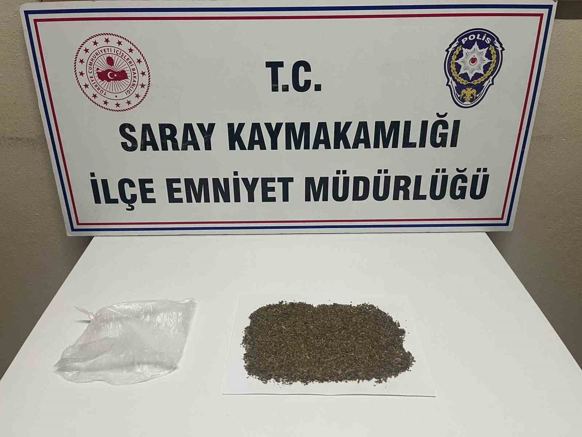 Tekirdağ Saray\'da iki ayrı olayda ele geçirilen bonzai 32,5 gramı buldu