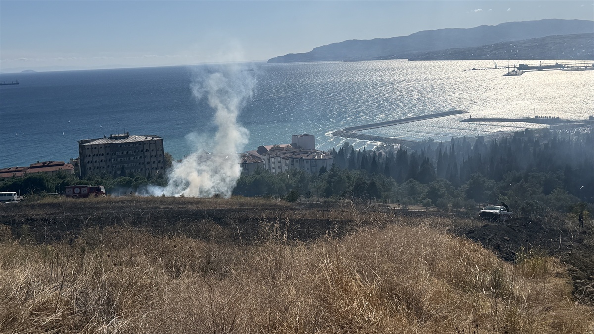 Tekirdağ\'da otluk alandaki yangın 1 saatte söndürüldü, kaplumbağa kurtarıldı