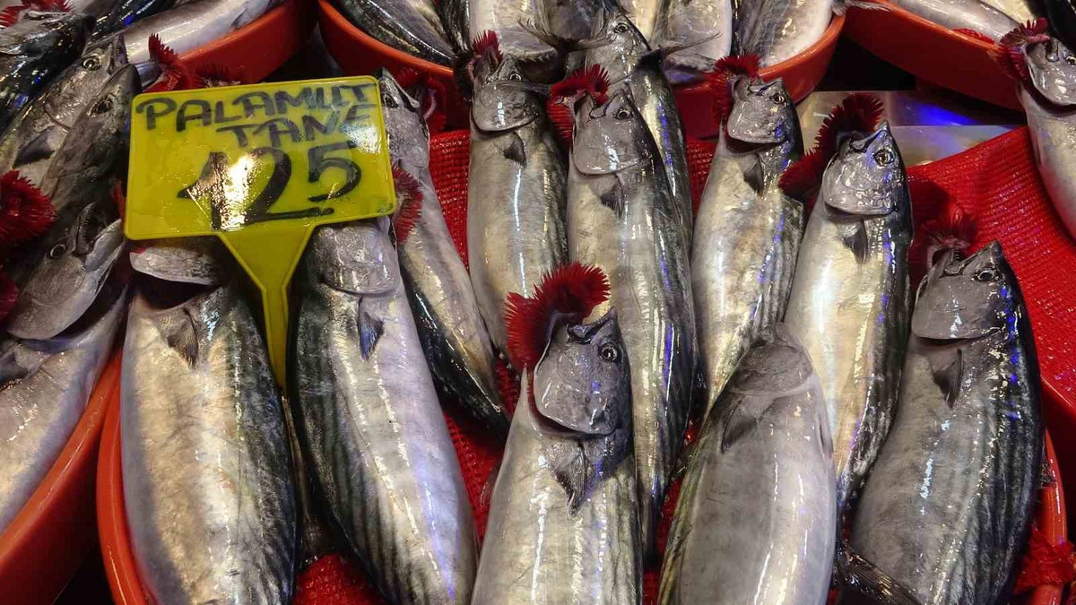 Trabzon\'da palamut 1 kiloya ulaştı, fiyatı 100-150 TL arasında değişiyor
