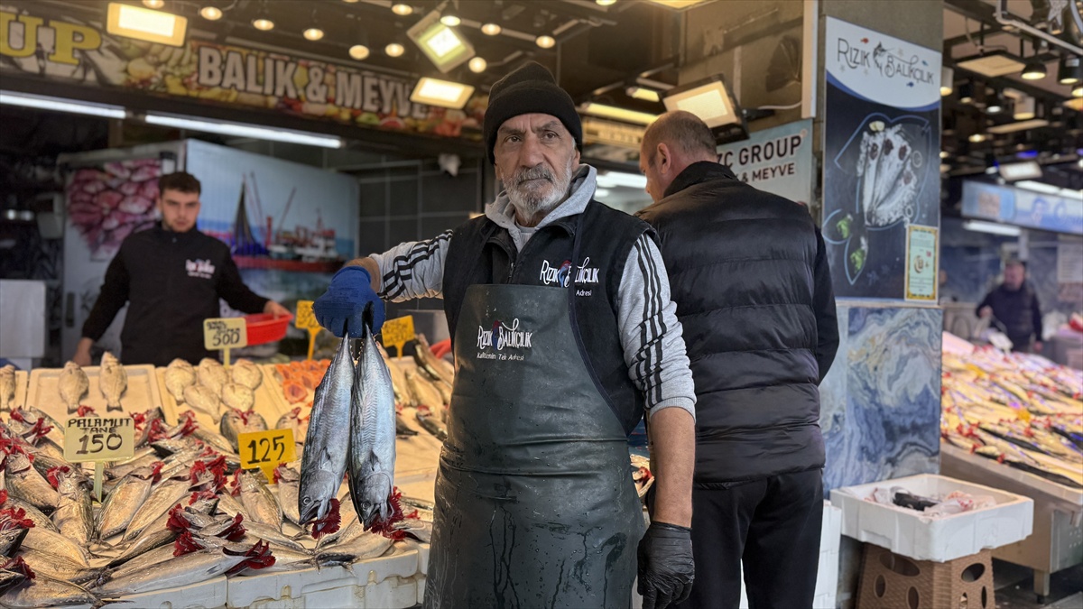 Trabzon\'da palamut bol avlandı, tezgahlarda 100-150 liradan satılıyor