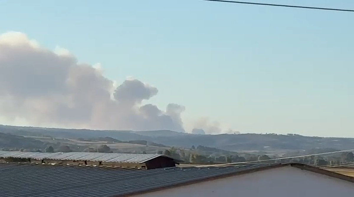 Evros\'taki yangının dumanı ve alevleri Edirne Meriç\'teki sınır köylerinden görüldü