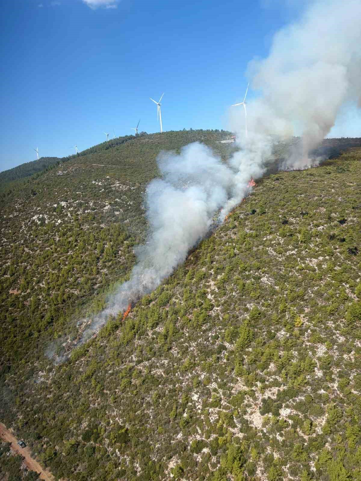 Bodrum Mazı\'da orman yangınına 6 helikopter, 2 uçak ve 16 arazözle müdahale ediliyor