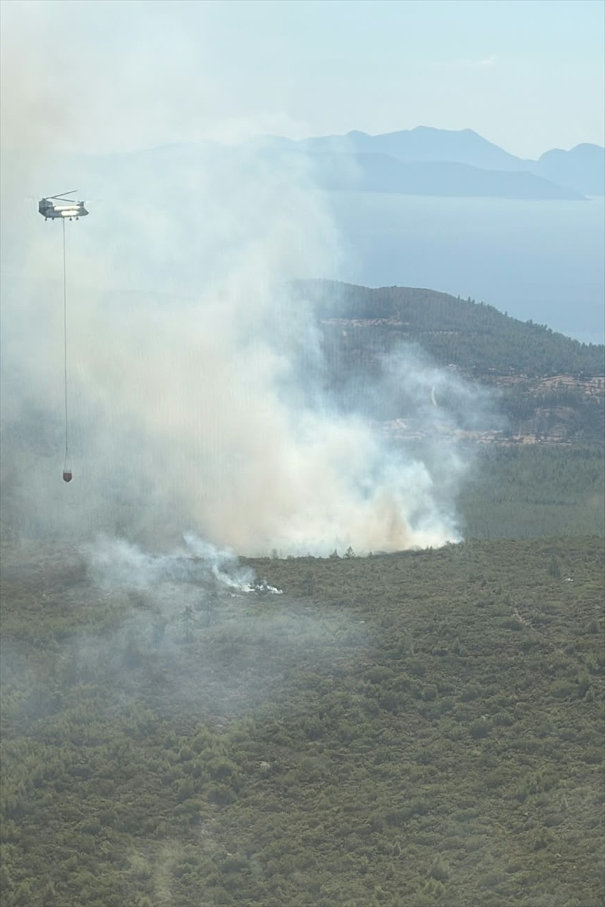 Muğla Valiliği Bodrum\'daki yangına 2 uçak ve 6 helikopterle müdahale edildiğini bildirdi