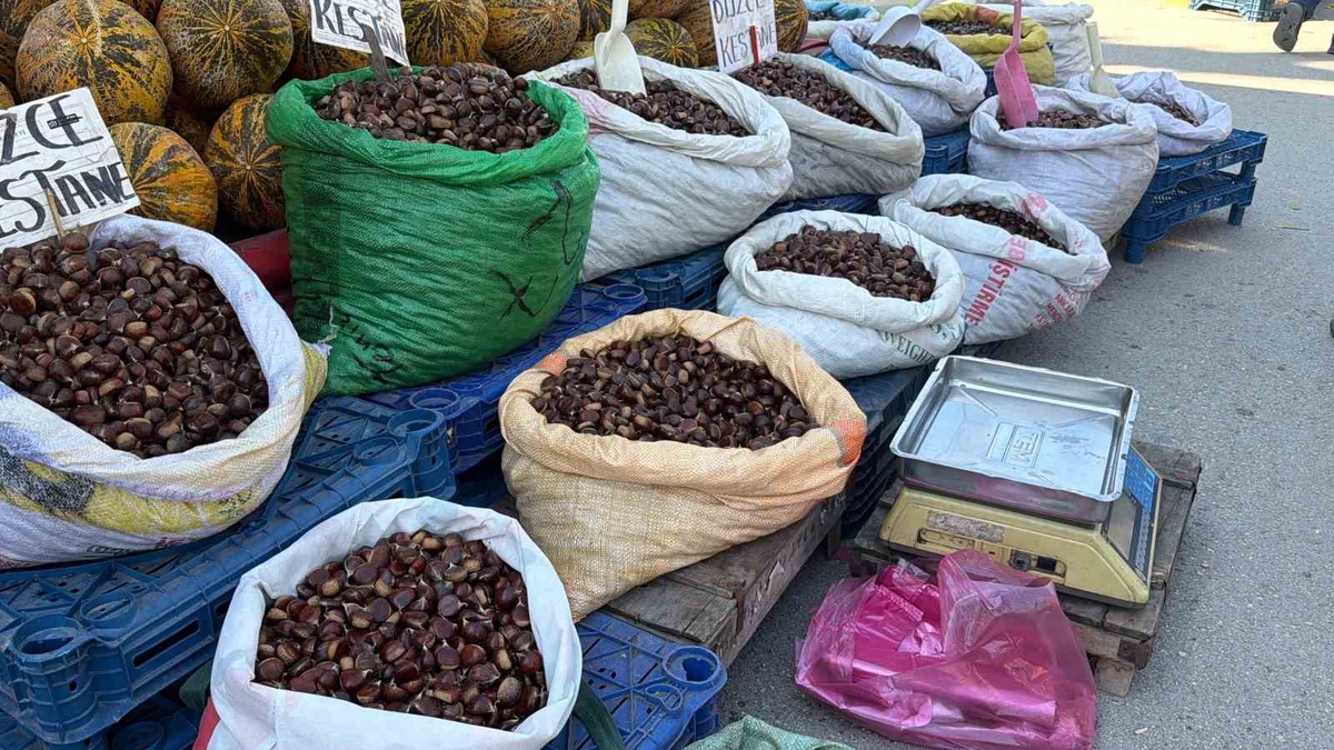 Düzce\'den günlük gelen kestane Bolu\'da 250 ile 400 lira arasında satılıyor