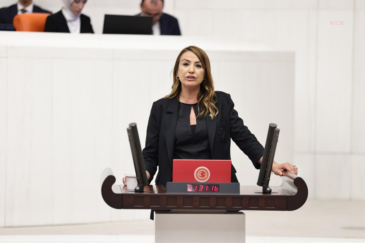CHP\'li Kara, Hatay sokak hayvanı barınağını soru önergesiyle Bakan Yumaklı\'ya taşıdı