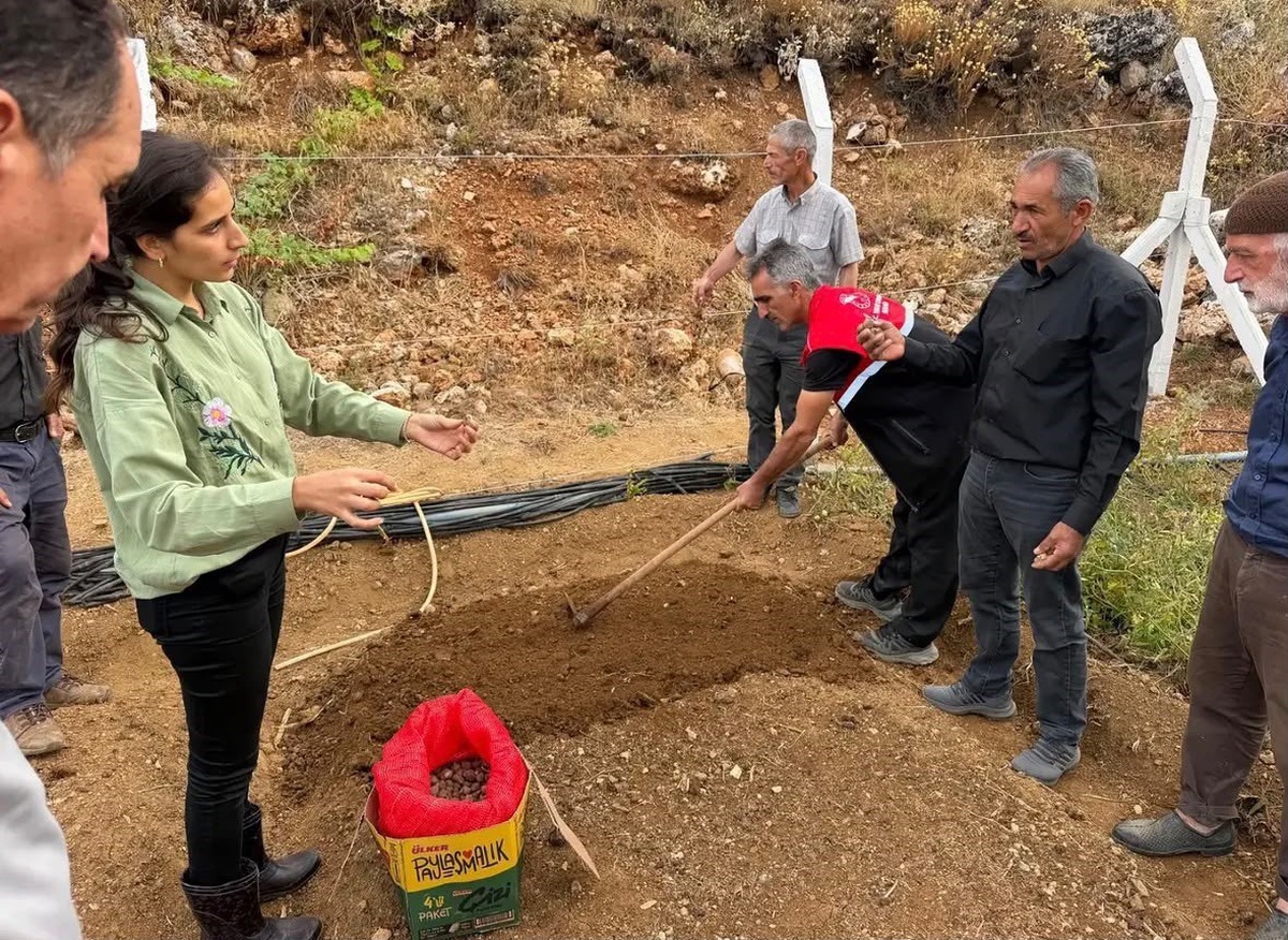 Adıyaman Çelikhan\'da salep desteğiyle 10 üreticiye 90 kilogram salep yumrusu verildi