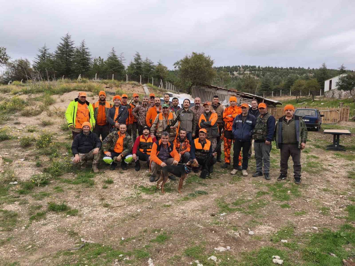 Isparta\'da tarım arazilerine zarar veren domuzlara sürek avı düzenlendi, 47\'si vuruldu