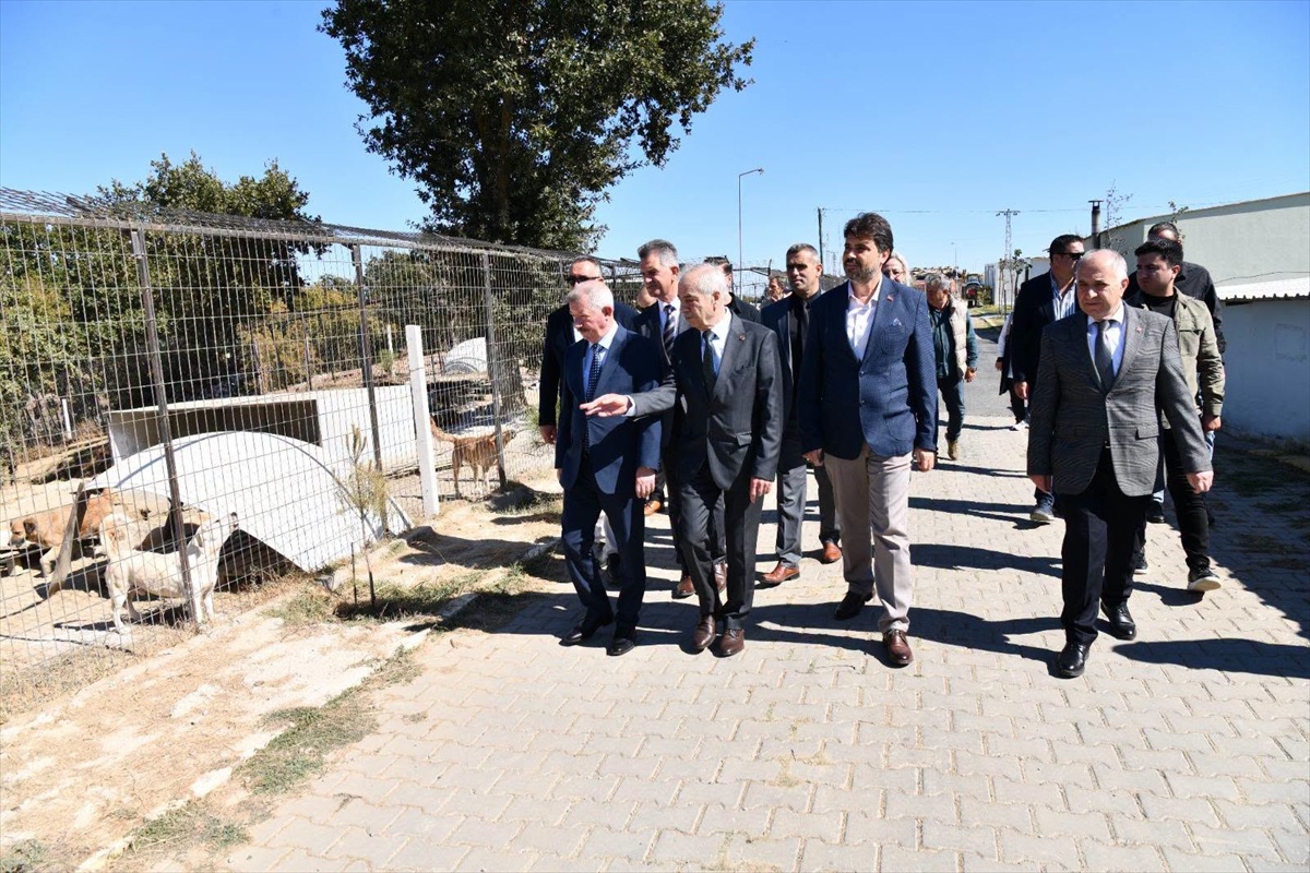 Keşan Kaymakamı ve Belediye Başkanı Hayvanları Koruma Günü\'nde bakımevine gitti