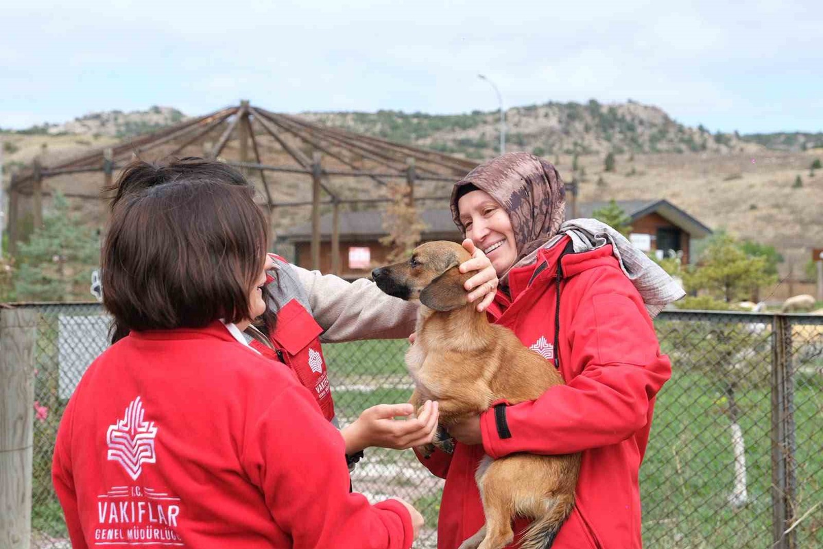 Kütahya Vakıflar Bölge Müdürlüğü KÜSHAYKOB\'da sahipsiz hayvanlara mama desteği verdi