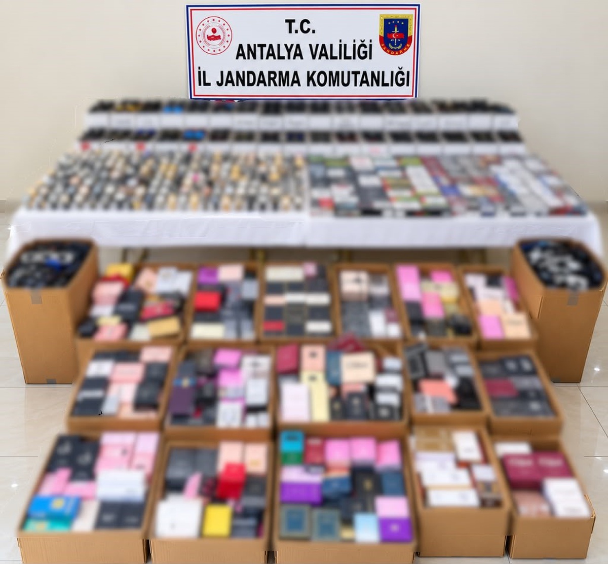 Manavgat\'ta jandarma depoda 6 milyon 250 bin liralık kaçak ürün buldu