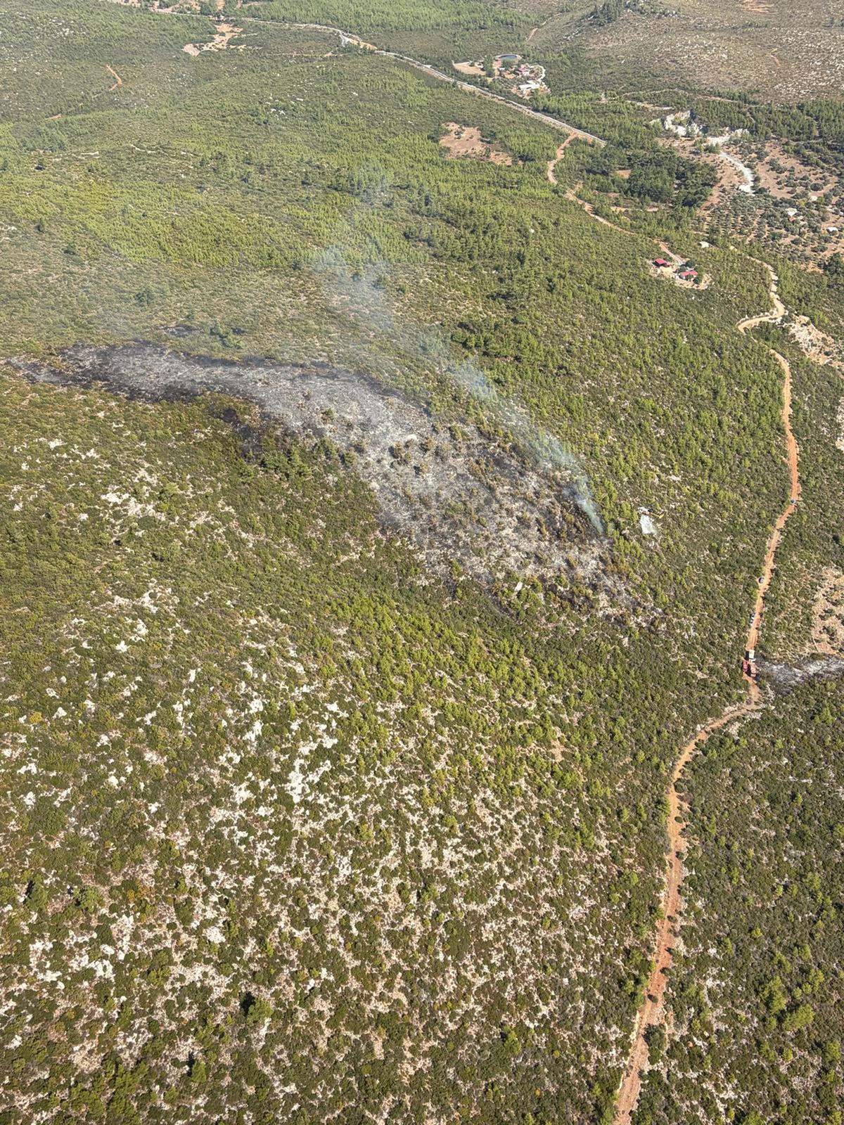 Bodrum\'daki orman yangını 2 uçak ve 6 helikopterle kontrol altına alındı
