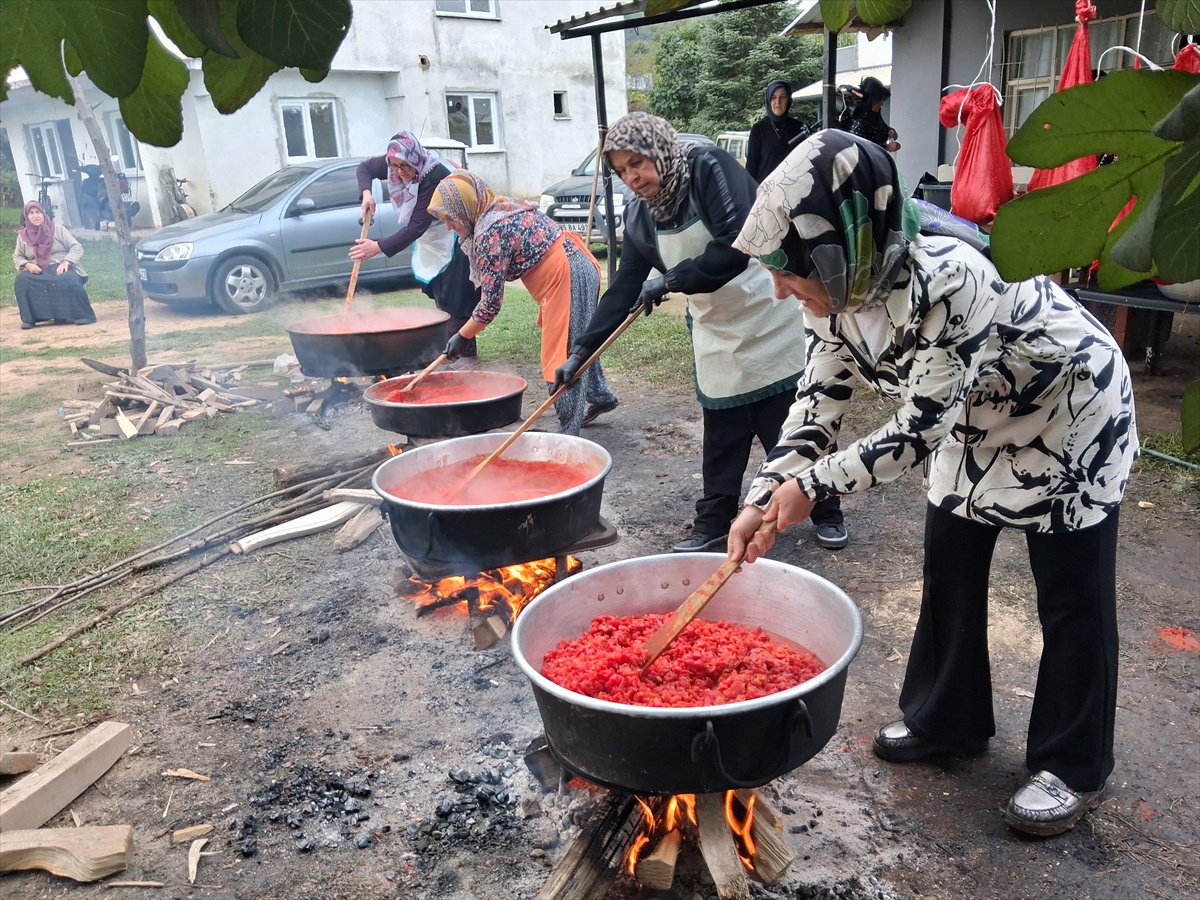 Sakarya Karapürçek\'teki Eli Bereketli Kadın Kooperatifi siparişleri zor yetiştiriyor