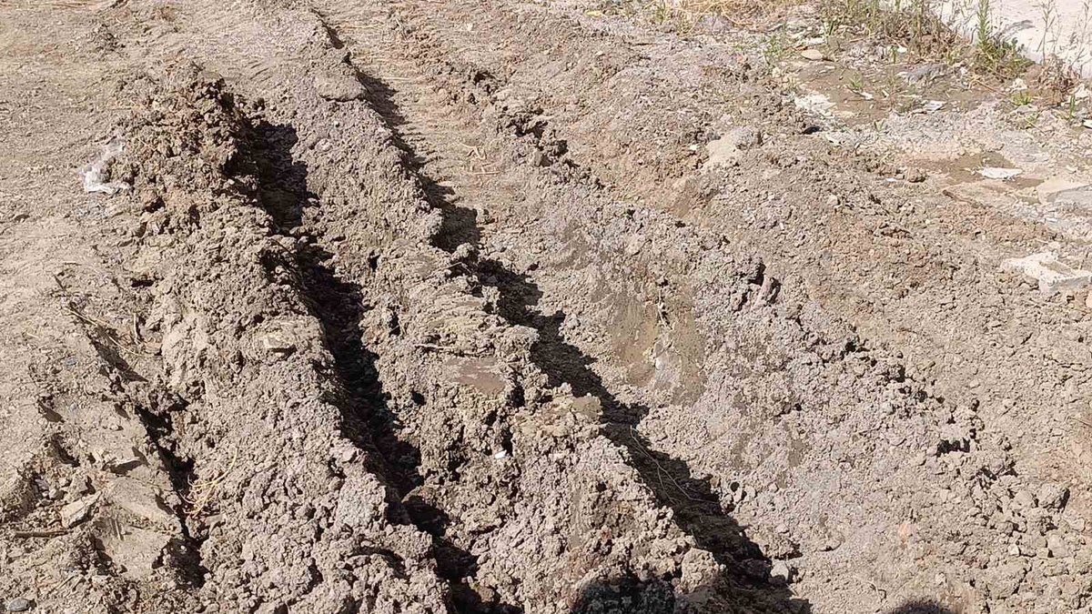 Tekirdağ Süleymanpaşa\'da mahalleli 3 yıldır çözülemeyen yola pankartla tepki gösterdi