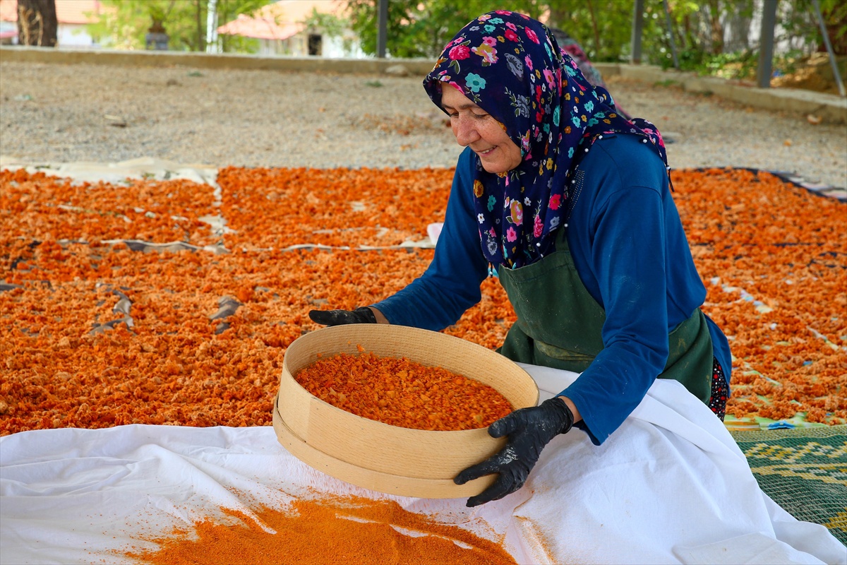 Uşak\'ta kadınlar 2017\'de tescillenen tarhanayı imeceyle üretip 4 kooperatifte satıyor