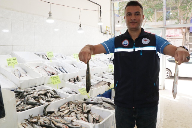 Yasak işe yaradı, inci kefali boy attı! Tam 20 yıllık değişim