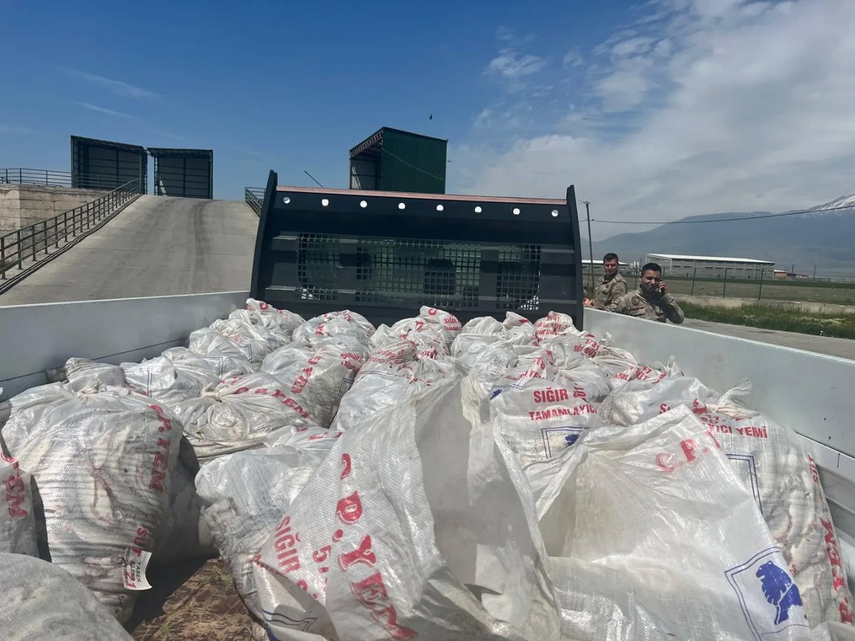 Van\'dan Doğubayazıt\'a kaçak getirilen 2 ton inci kefaline jandarma el koydu