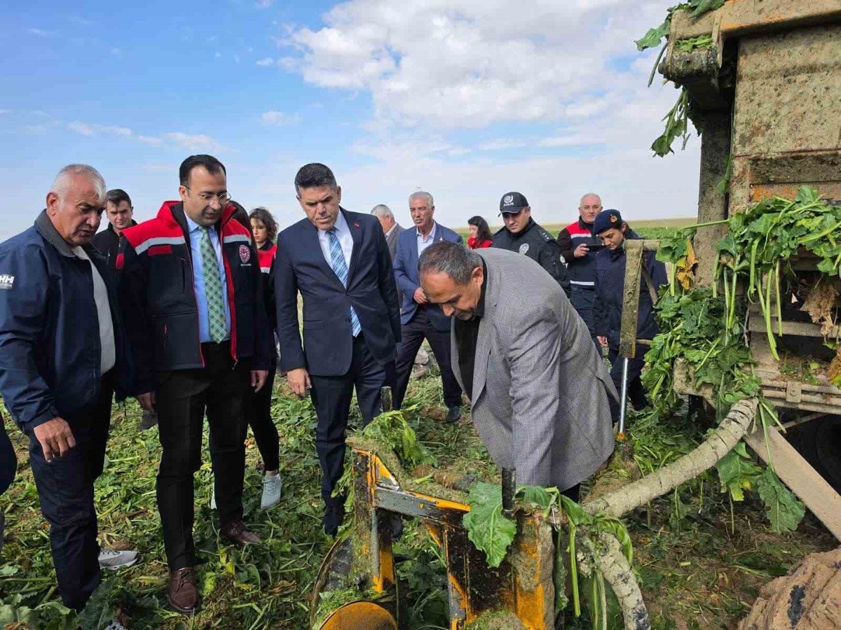 Aksaray Sultanhanı\'nda pancar hasadı başladı, Kaymakam Yerlikaya çiftçileri dinledi