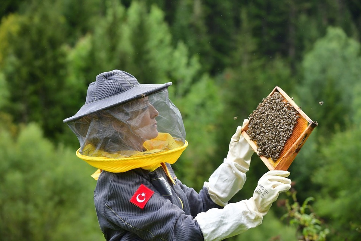 Artvin\'de arı turizmi potansiyeli için Şavşat Maden köyünde inceleme yapıldı