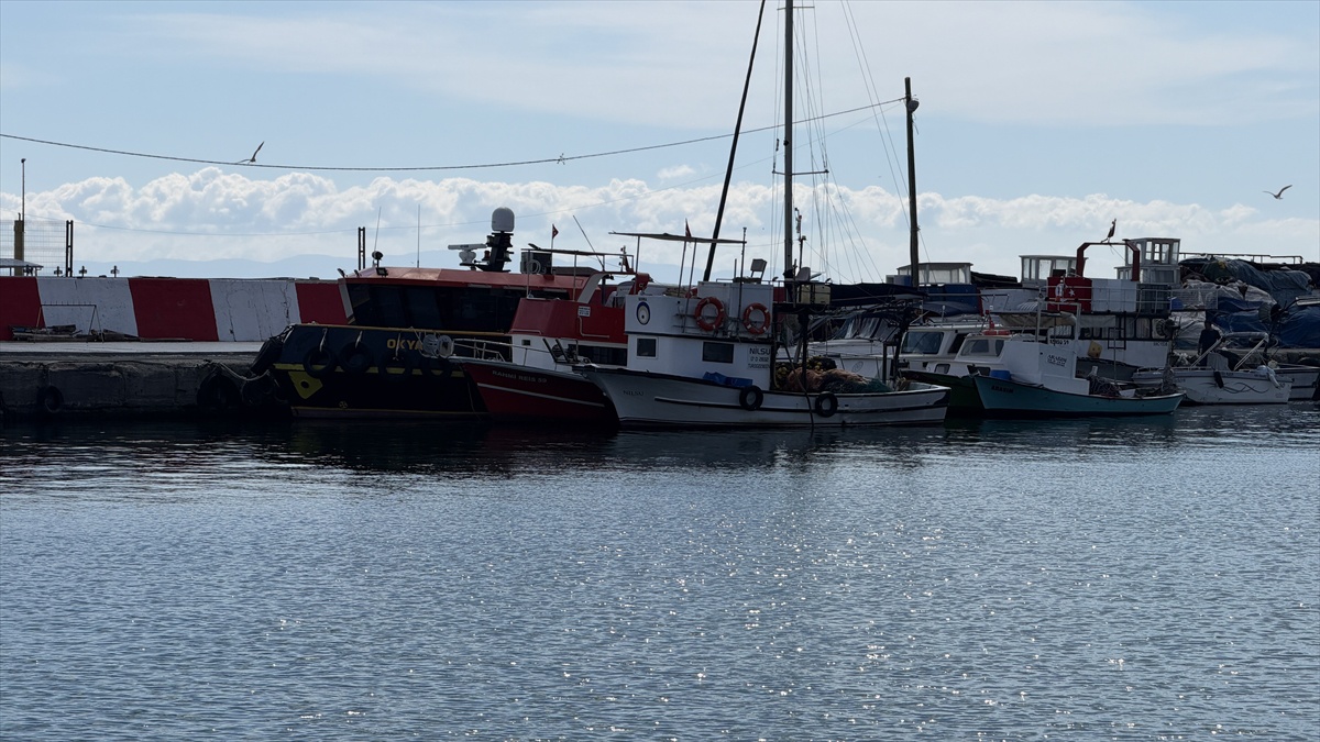 Tekirdağ\'da fırtına sonrası palamut bolluğu tezgahlarda 100-150 liradan satılıyor