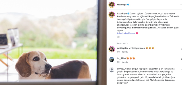 Hazal Kaya'nın acı günü! Köpeği Murphy hayatını kaybetti