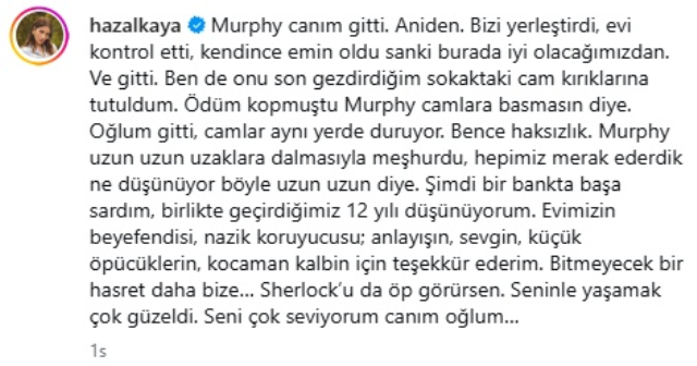 Hazal Kaya'nın acı günü! Köpeği Murphy hayatını kaybetti