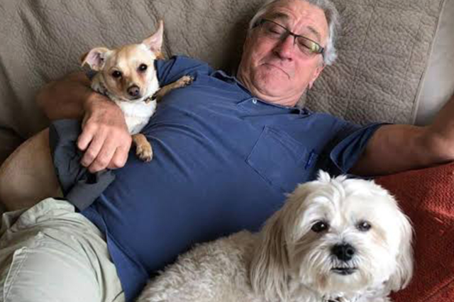 Robert De Niro'nun evinde tam 18 köpekle yaşadığı ortaya çıktı