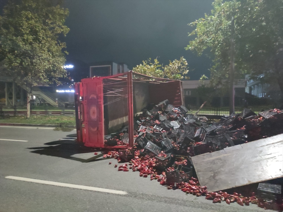 Samsun Tekkeköy\'de devrilen biber kamyonunda 2 kişi yaralandı, yol trafiğe açıldı