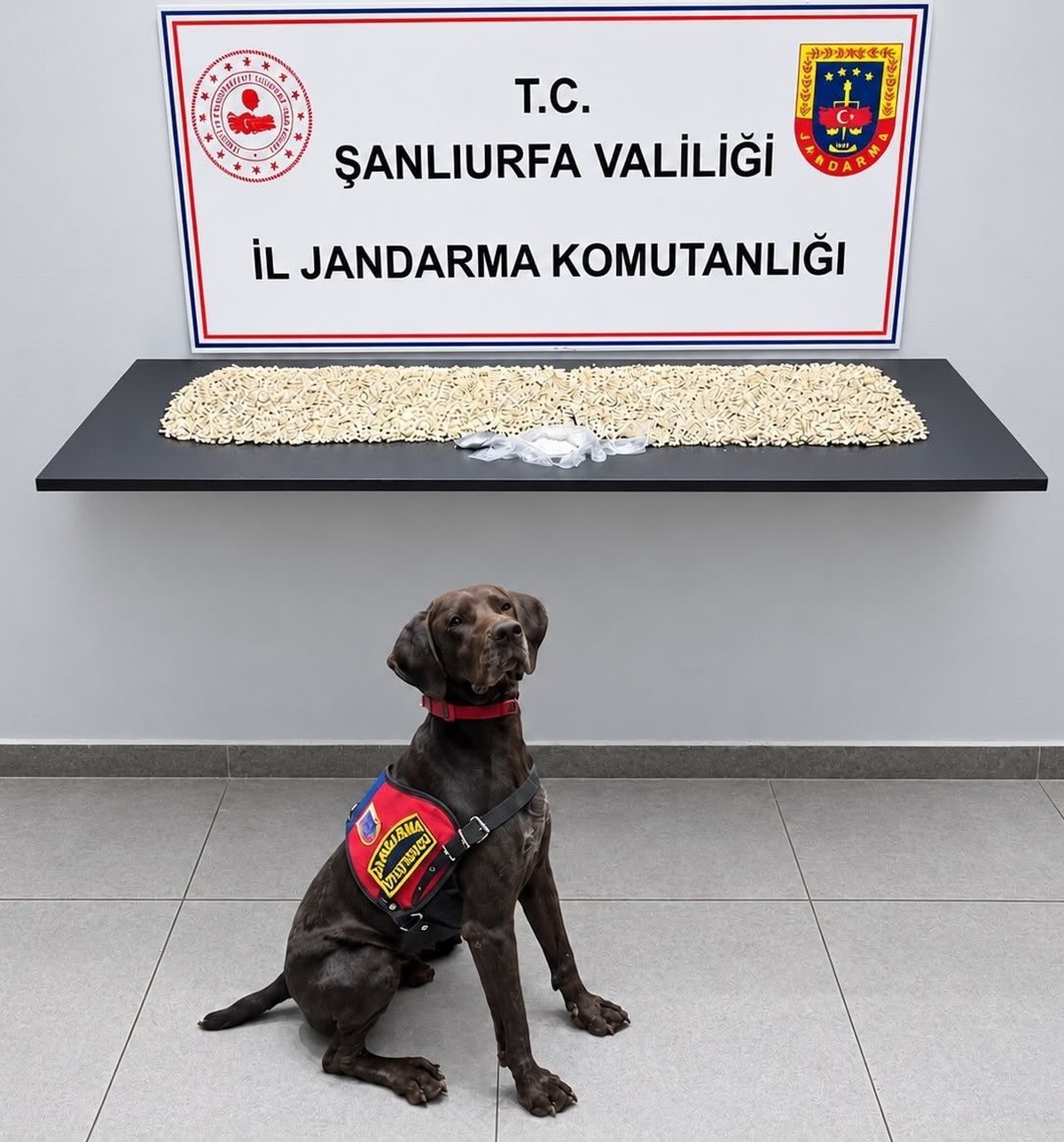 Şanlıurfa Eyyübiye\'de jandarma şüphelinin evinde 14 bin 410 Captagon buldu