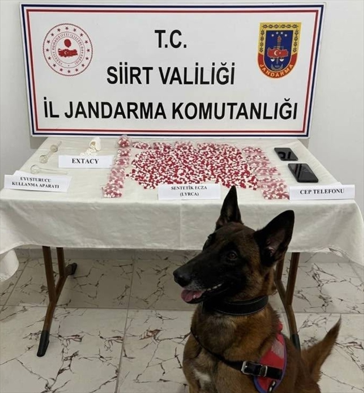 Siirt\'te otobüste 2 bin 650 uyuşturucu hap bulan jandarma, 1 şüpheliyi gözaltına aldı