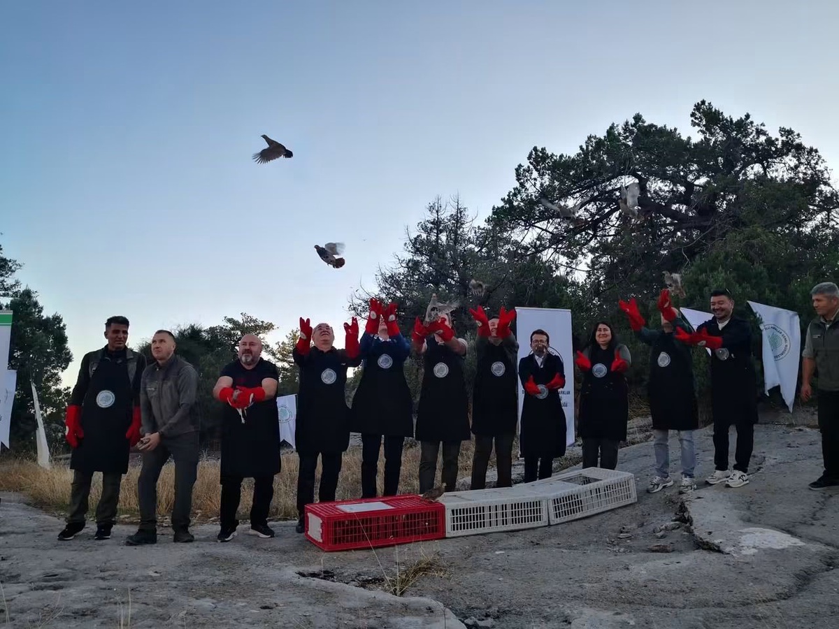 Şuhut\'ta üretilen 200 çil keklik Burdur Bucak\'ta doğal yaşamla buluştu