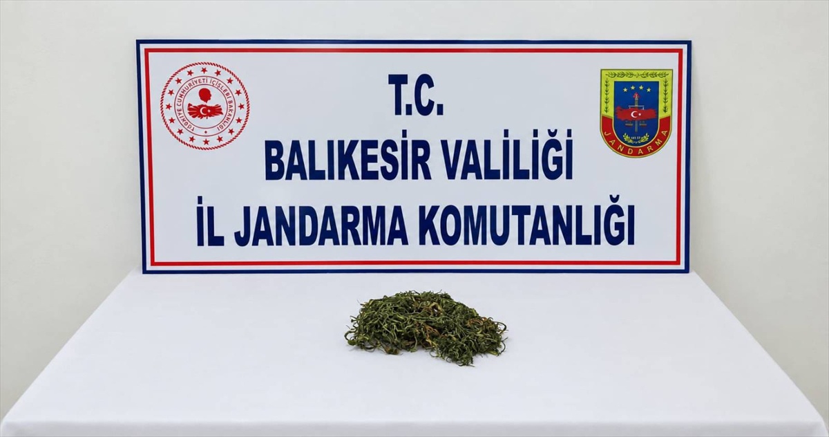 Susurluk\'ta son 10 gündeki uyuşturucu operasyonlarında 3 şüpheliden 2\'si tutuklandı