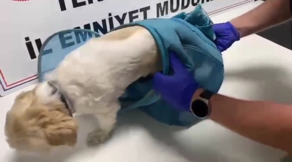 Tekirdağ\'da 2 haftada 207 şüpheliye işlem yapıldı, pusete gizlenen uyuşturucu bulundu
