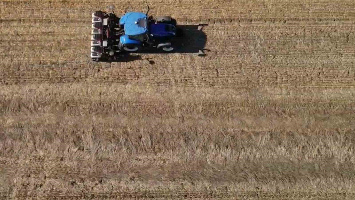 Tekirdağ Hayrabolu\'da yüzde 50 destekli kanola tohumu 34 dekarda anıza ekildi