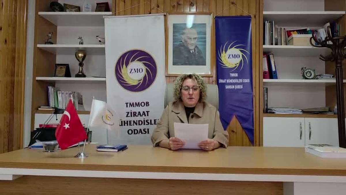 ZMO Samsun Şube Başkanı Bayzat, TMO\'nun çeltik alım fiyatı açıklamamasını eleştirdi
