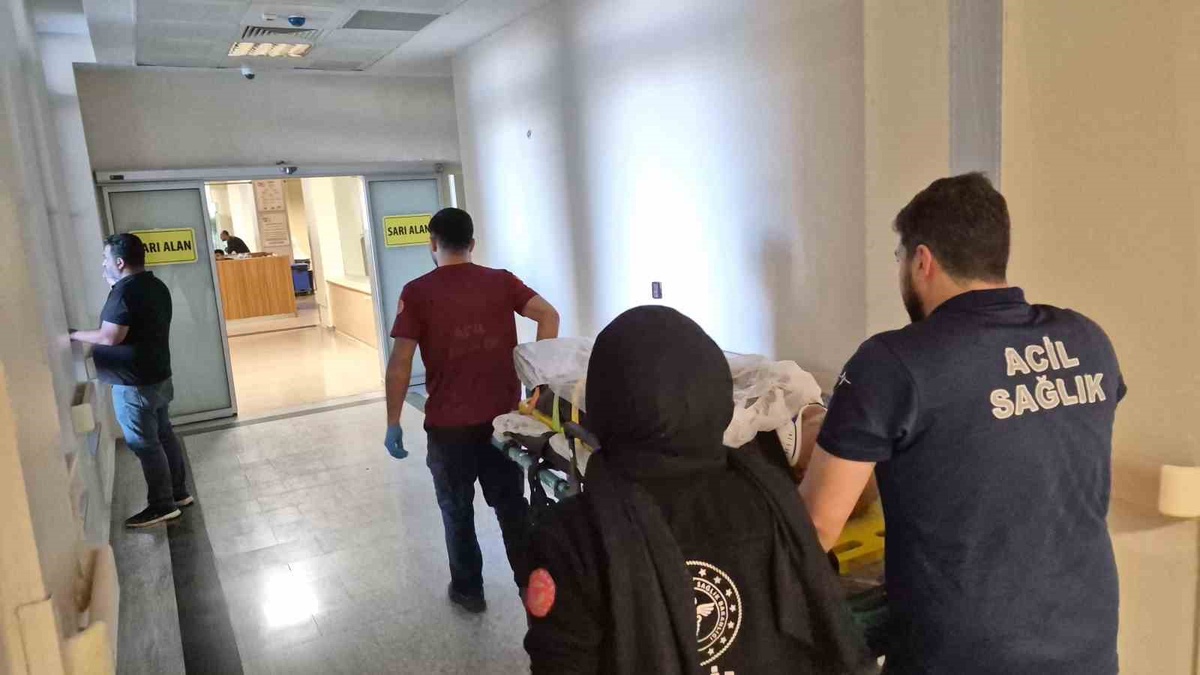 Adıyaman\'da motorlu testereyle ağaç kesen 70 yaşındaki kişi yere düşüp yaralandı