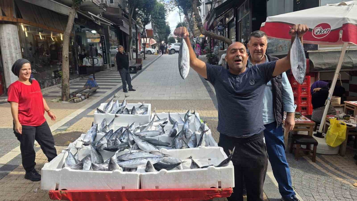 Bandırma\'da 850 gramlık palamut 75 liradan satılıyor, fiyat 100 liradan düştü