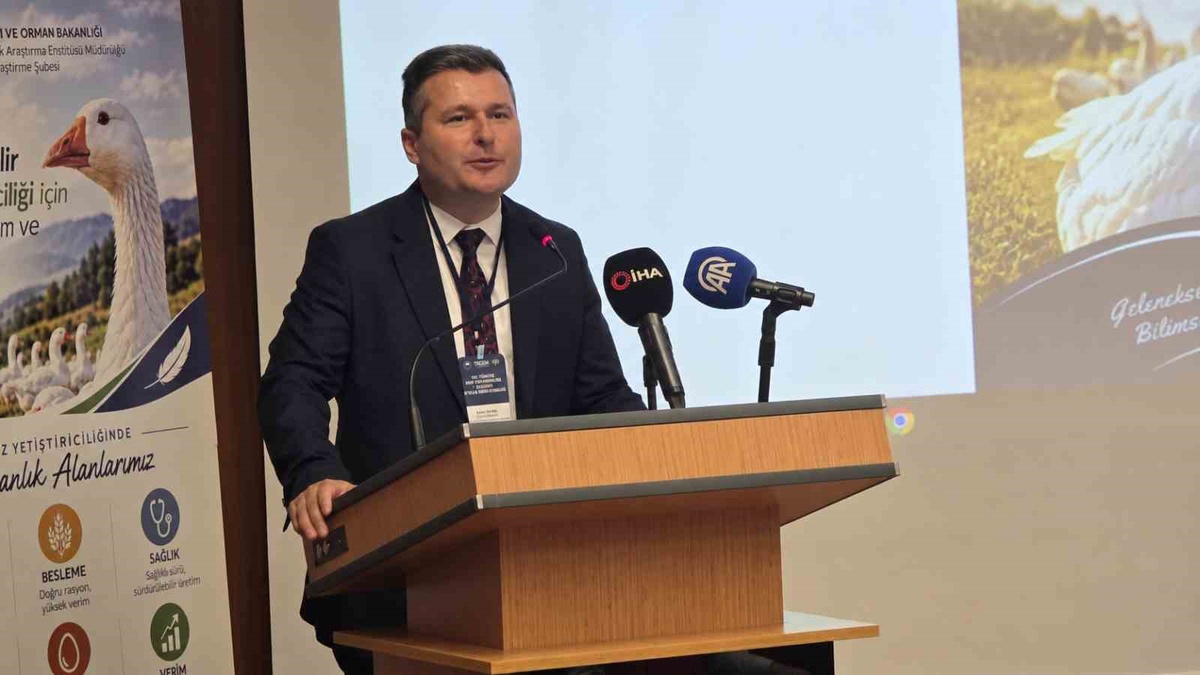 TAGEM Genel Müdürü Çakal, Türkiye\'nin kaz varlığında dünyada 7\'nci olduğunu söyledi