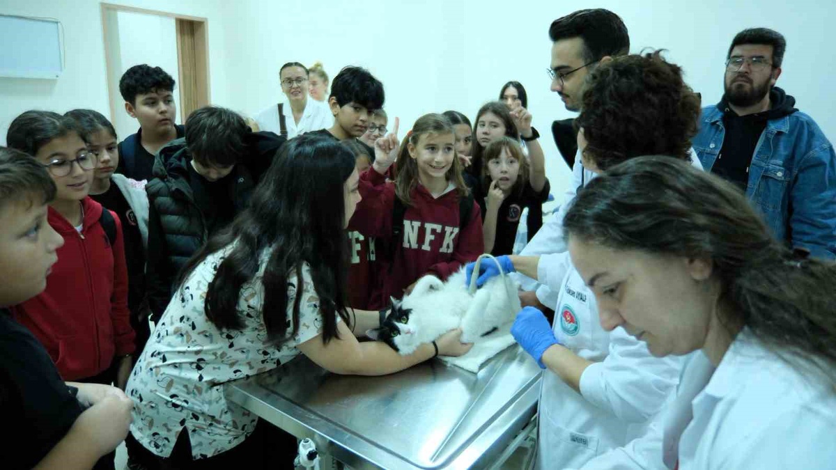 Necip Fazıl Kısakürek Ortaokulu öğrencileri BAÜN\'de hayvan sağlığını öğrendi