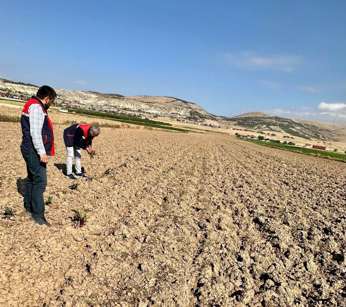 Bolvadin\'de tarım arazileri 2026 uzaktan algılama verileriyle uyum için inceleniyor