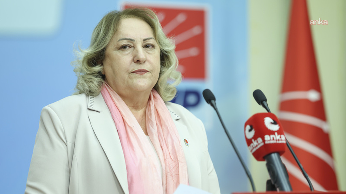 CHP\'li Gülsever, 2025\'te en az 94 çocuk işçi ölümüne dikkat çekip sosyal politika istedi