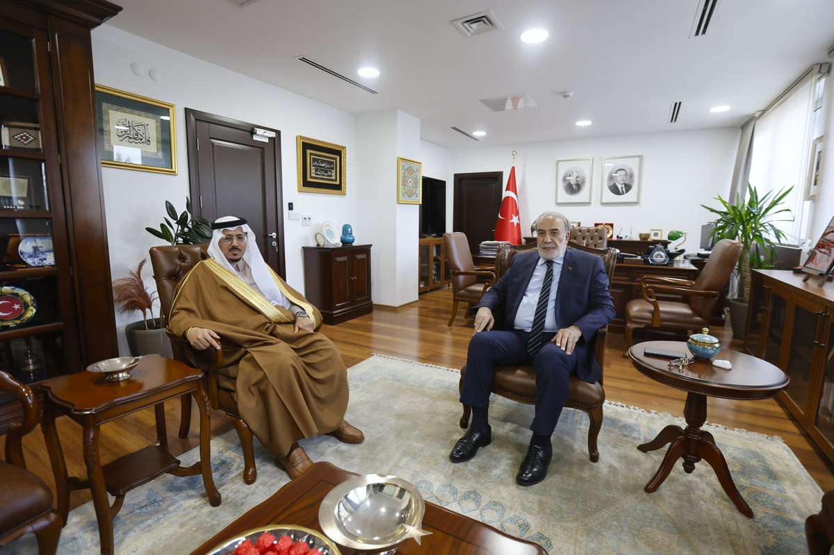 Dışişleri Bakanlığı, Kulaklıkaya\'nın İİT insan hakları direktörünü kabul ettiğini duyurdu